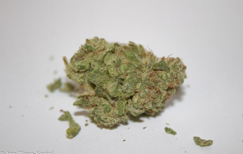 Discover the balanced and uplifting effects of Harlequin, a sativa-dominant cannabis strain known for its unique CBD-to-THC ratio. Learn about its flavor profile, growing tips, and potential benefits.