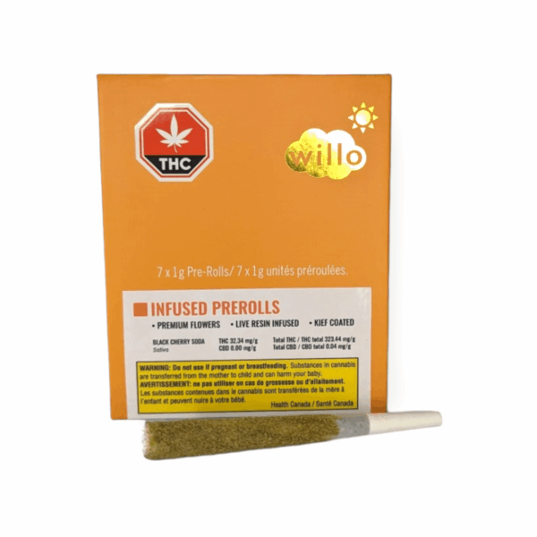 Bong *Includes 2 Tips*