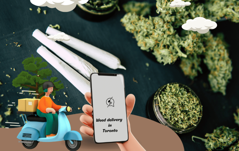 You’re exploring your options for weed delivery in Toronto. Good choice! While there are plenty of ways to get your hands on some green, weed delivery services offer a number of benefits that you may not have considered. For starters, using a weed delivery service is a great way to save time. Instead of having […]